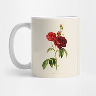 Purple Rose Antique Botanical Illustration Mug